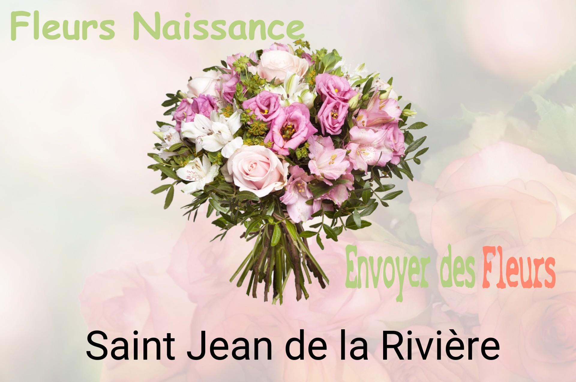 Bouquet de fleurs de naissance livré à Saint-Jean-de-la-Rivière