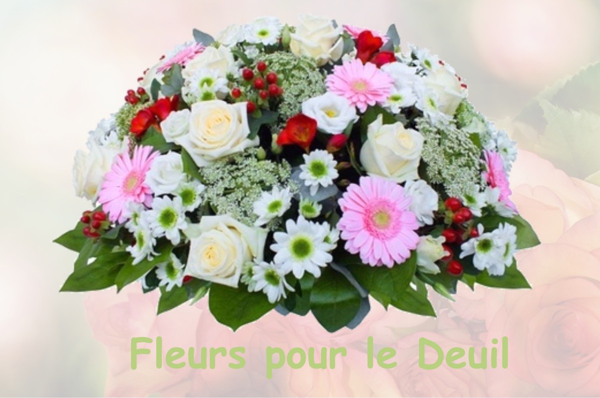fleurs deuil SAINT-JEAN-DE-LA-RIVIERE